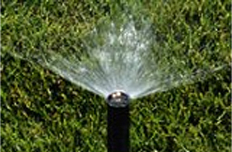 sprinklers